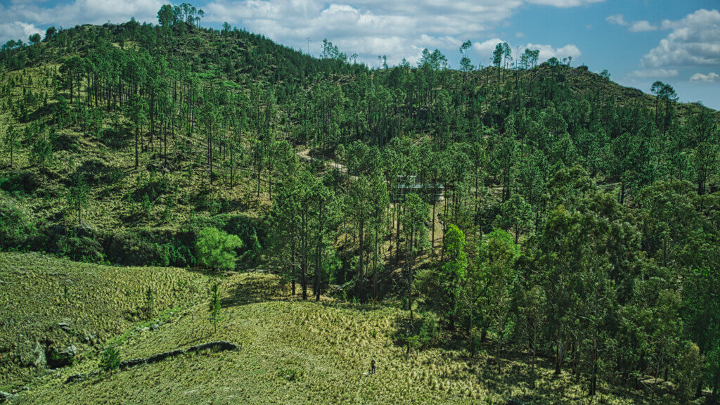 Lote 12