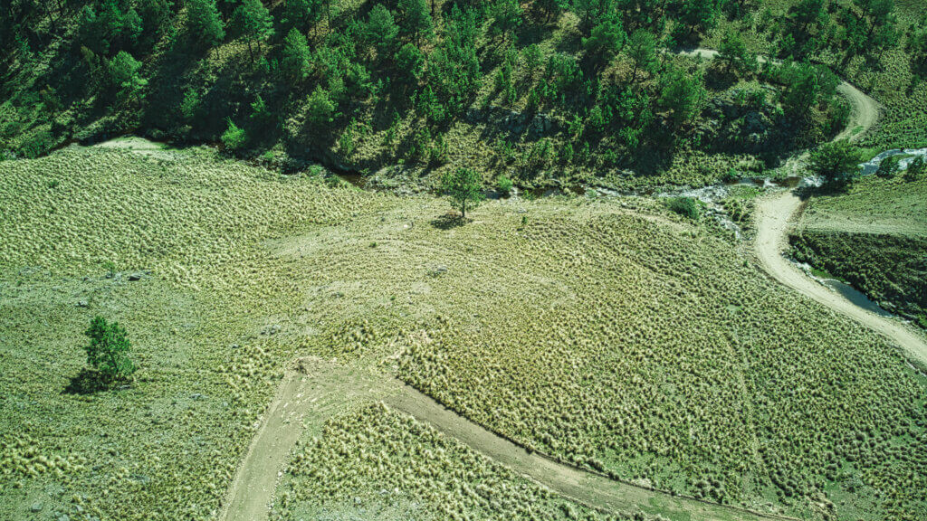 Lote 7